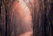 热火不敌骑士，维特斯复出表现一般