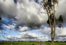 热火不敌骑士，维特斯复出表现一般