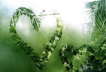 美国表现出色，击败巴西队晋级半决赛