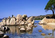 欧国联赛事备受期待，各队强劲氛围凝聚